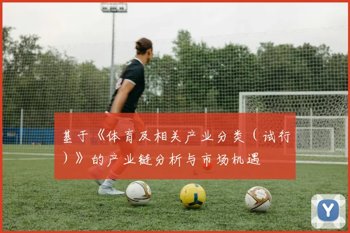 基于《体育及相关产业分类（试行）》的产业链分析与市场机遇
